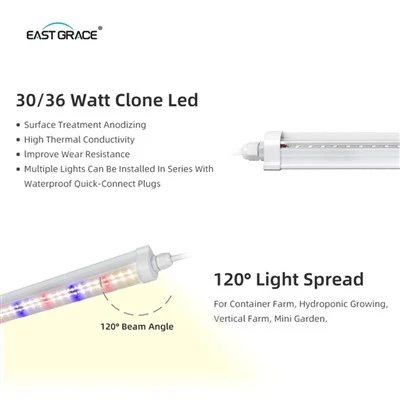 Tubo T8 per lampada da coltivazione Clone a barra LED per fragole da interno