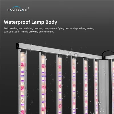 Lampada da coltivazione a barra a spettro completo LED 4x6ft 1300W 1600W