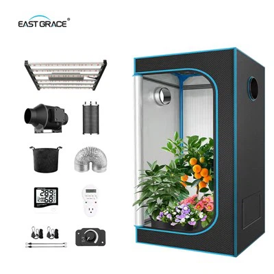 Posso coltivare alberi da frutto in una grow box da 320W?